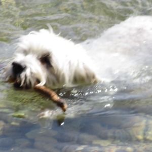 Meet your Posher, Myra